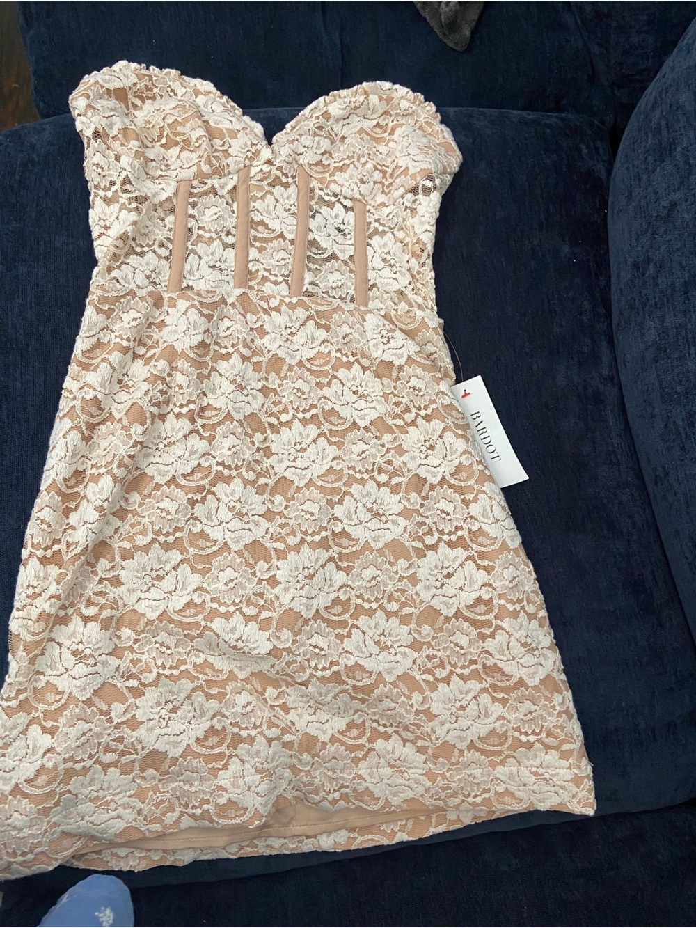 NWT Bardot Lace Mini Dress in soft peach with boning and corset like top. SizeXS
